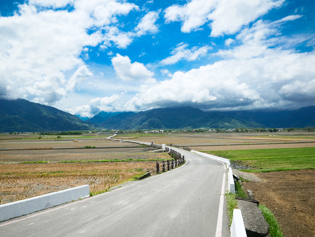 台東景點｜台東池上伯朗大道，金城武樹，IG打卡熱門景點，天堂路，綠油油的稻田超療癒＠瑪姬幸福過日子 @瑪姬幸福過日子