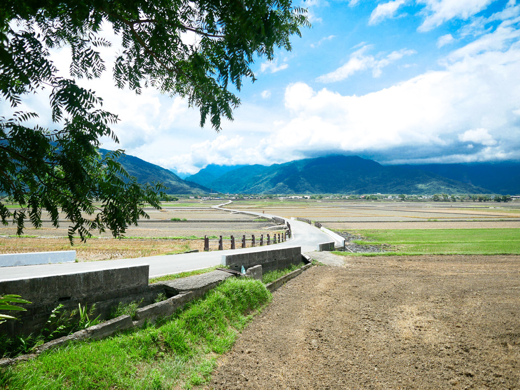 台東景點｜台東池上伯朗大道，金城武樹，IG打卡熱門景點，天堂路，綠油油的稻田超療癒＠瑪姬幸福過日子 @瑪姬幸福過日子