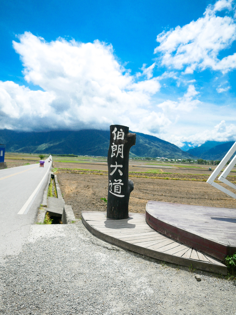 台東景點｜台東池上伯朗大道，金城武樹，IG打卡熱門景點，天堂路，綠油油的稻田超療癒＠瑪姬幸福過日子 @瑪姬幸福過日子