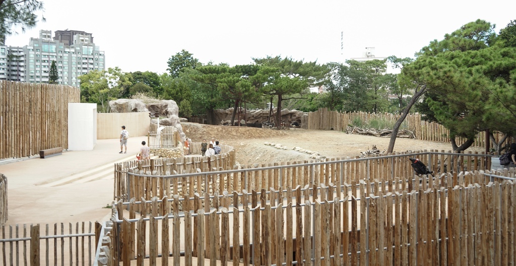 【新竹 景點 】 新竹動物園，看動物＋拍IG網美照，來看孟加拉虎，河馬樂樂，交通，門票資訊＠瑪姬幸福過日子 @瑪姬幸福過日子