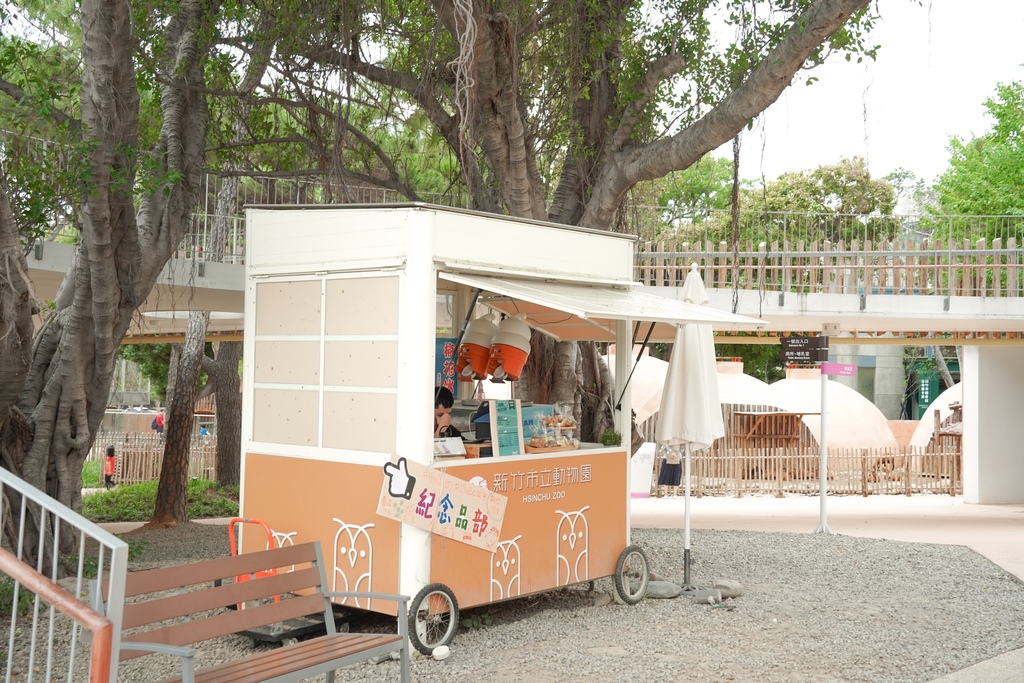 【新竹 景點 】 新竹動物園，看動物＋拍IG網美照，來看孟加拉虎，河馬樂樂，交通，門票資訊＠瑪姬幸福過日子 @瑪姬幸福過日子