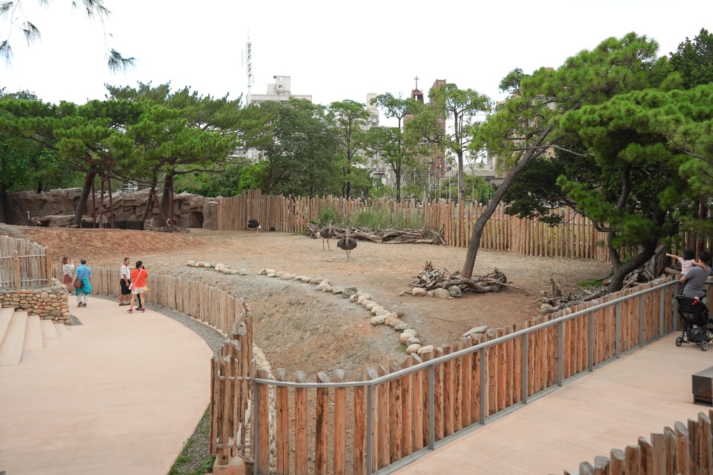 【新竹 景點 】 新竹動物園，看動物＋拍IG網美照，來看孟加拉虎，河馬樂樂，交通，門票資訊＠瑪姬幸福過日子 @瑪姬幸福過日子