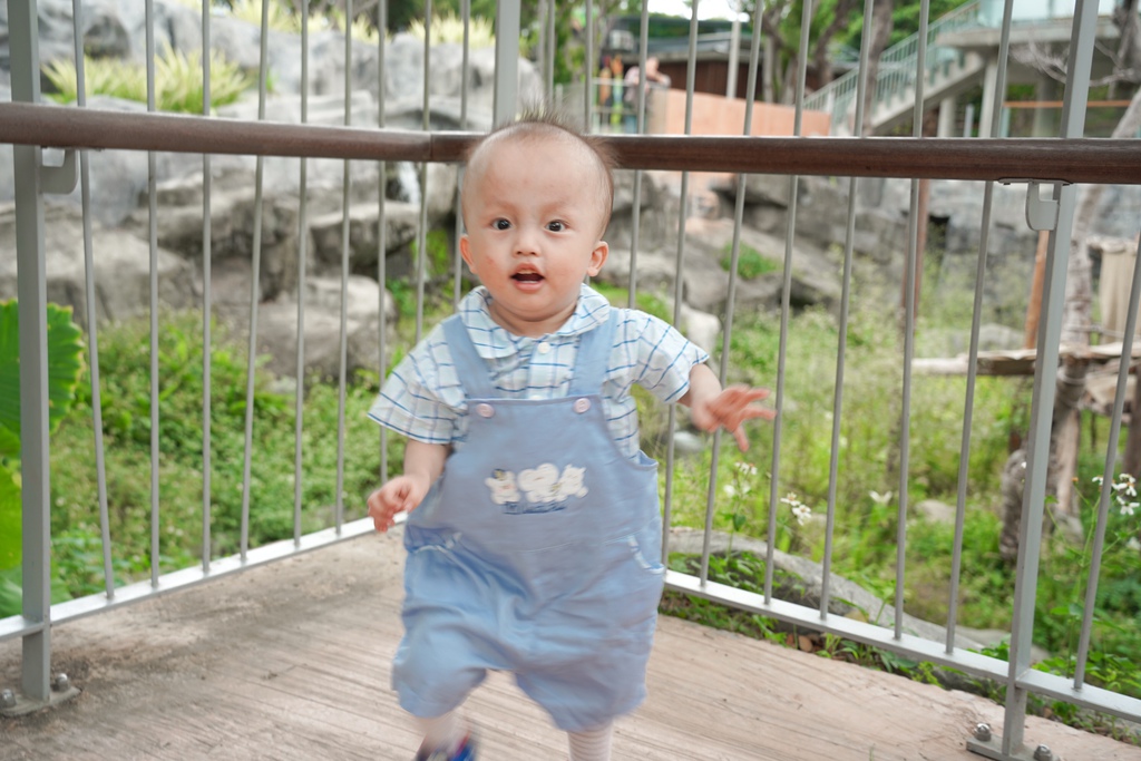 【新竹 景點 】 新竹動物園，看動物＋拍IG網美照，來看孟加拉虎，河馬樂樂，交通，門票資訊＠瑪姬幸福過日子 @瑪姬幸福過日子