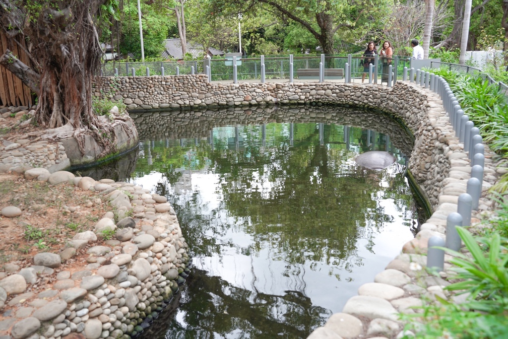 【新竹 景點 】 新竹動物園，看動物＋拍IG網美照，來看孟加拉虎，河馬樂樂，交通，門票資訊＠瑪姬幸福過日子 @瑪姬幸福過日子