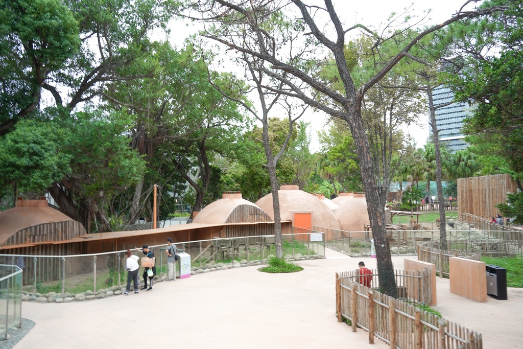 【新竹 景點 】 新竹動物園，看動物＋拍IG網美照，來看孟加拉虎，河馬樂樂，交通，門票資訊＠瑪姬幸福過日子 @瑪姬幸福過日子