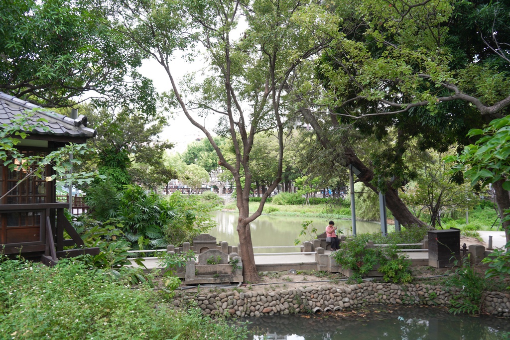 【新竹 景點 】 新竹動物園，看動物＋拍IG網美照，來看孟加拉虎，河馬樂樂，交通，門票資訊＠瑪姬幸福過日子 @瑪姬幸福過日子