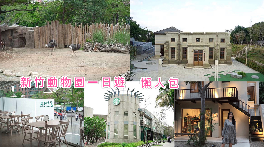 新竹森林食堂＆野餐市集，就在新竹動物園旁，超熱門IG網美打卡餐廳，有萌萌的動物雞蛋糕，菜單 @瑪姬幸福過日子