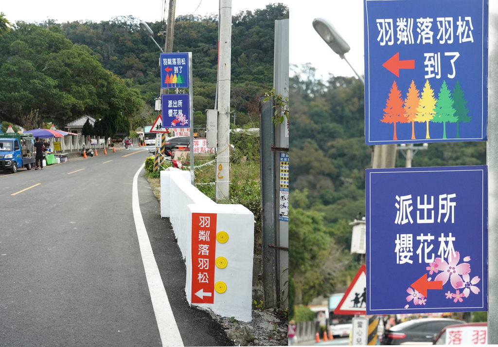 台中后里景點｜泰安落羽松秘境，泰安國小旁，泰安羽粼落羽松，美的像一幅畫，內有交通門票詳細資訊喔！ @瑪姬幸福過日子