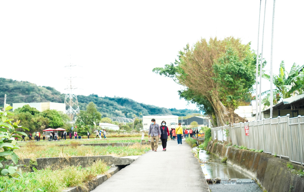 台中后里景點｜泰安落羽松秘境，泰安國小旁，泰安羽粼落羽松，美的像一幅畫，內有交通門票詳細資訊喔！ @瑪姬幸福過日子