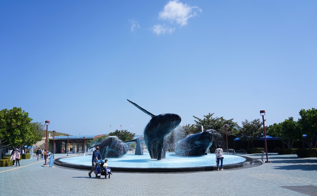 墾丁景點｜屏東海生館一日遊攻略，海底隧道，看企鵝，IG打卡巨大海藻景點，親子旅遊，門票，交通，三大展館必拍點。 @瑪姬幸福過日子