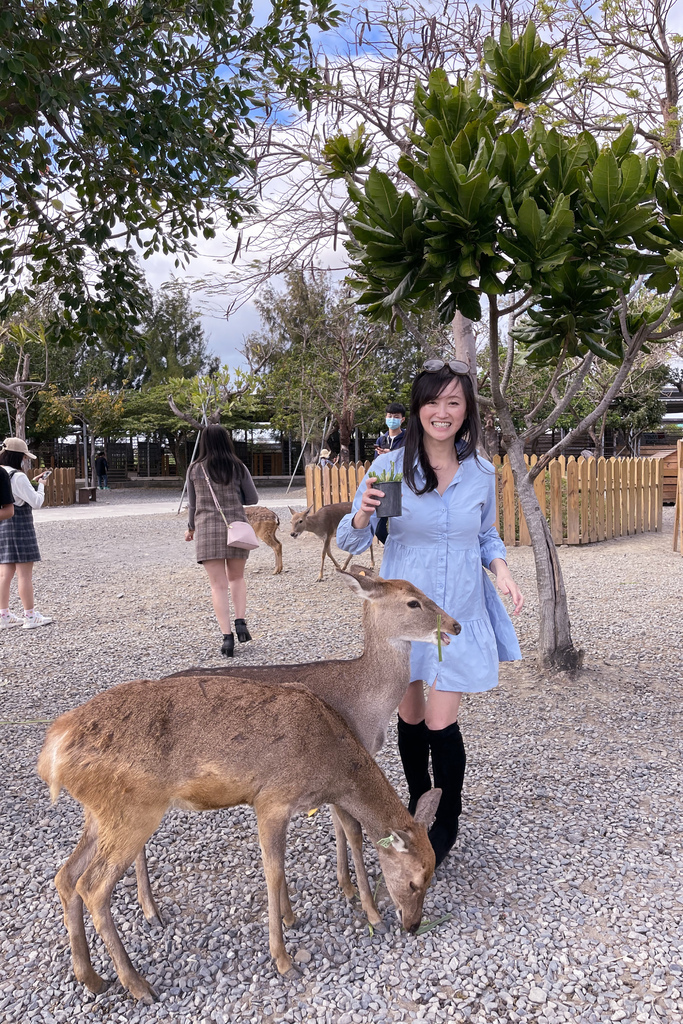 【 屏東親子景點】鹿境梅花鹿生態園區，墾丁小奈良， 超萌梅花鹿餵食互動！屏東墾丁必遊景點。 @瑪姬幸福過日子