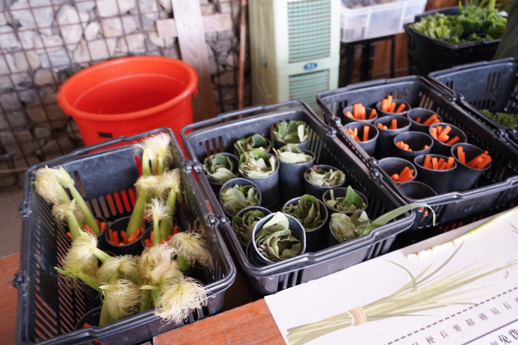 【 屏東親子景點】鹿境梅花鹿生態園區，墾丁小奈良， 超萌梅花鹿餵食互動！屏東墾丁必遊景點。 @瑪姬幸福過日子