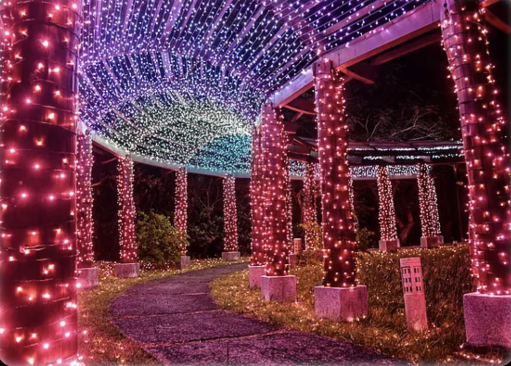 屏東四重溪溫泉季 &#8211; 四重溪溫泉公園，免費泡腳池，整片桃紅色花海，粉色旋轉木馬超好拍，交通，活動資訊整理！ @瑪姬幸福過日子