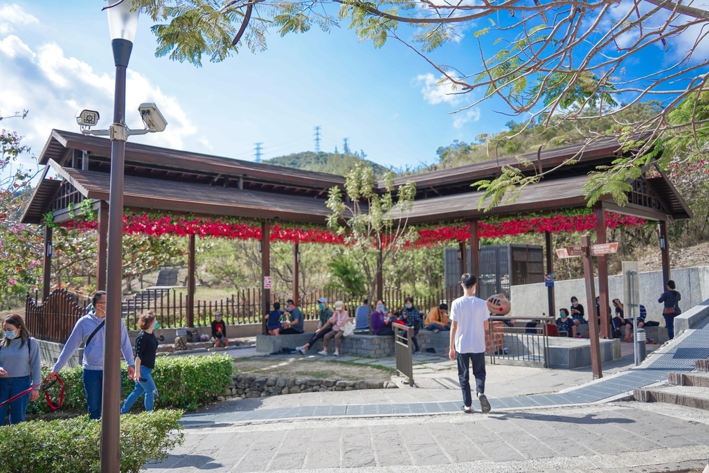 屏東四重溪溫泉季 &#8211; 四重溪溫泉公園，免費泡腳池，整片桃紅色花海，粉色旋轉木馬超好拍，交通，活動資訊整理！ @瑪姬幸福過日子