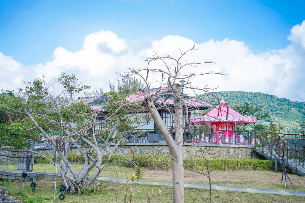 屏東四重溪溫泉季 &#8211; 四重溪溫泉公園，免費泡腳池，整片桃紅色花海，粉色旋轉木馬超好拍，交通，活動資訊整理！ @瑪姬幸福過日子