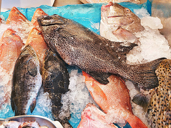 屏東後壁湖美食超狂銅板價生魚片 在地人超推邱家生魚片沒吃別說來過後壁湖!!!!!!! @瑪姬幸福過日子