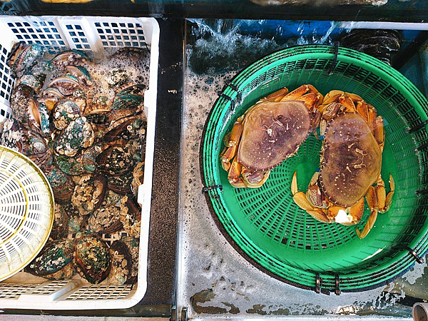 屏東後壁湖美食超狂銅板價生魚片 在地人超推邱家生魚片沒吃別說來過後壁湖!!!!!!! @瑪姬幸福過日子