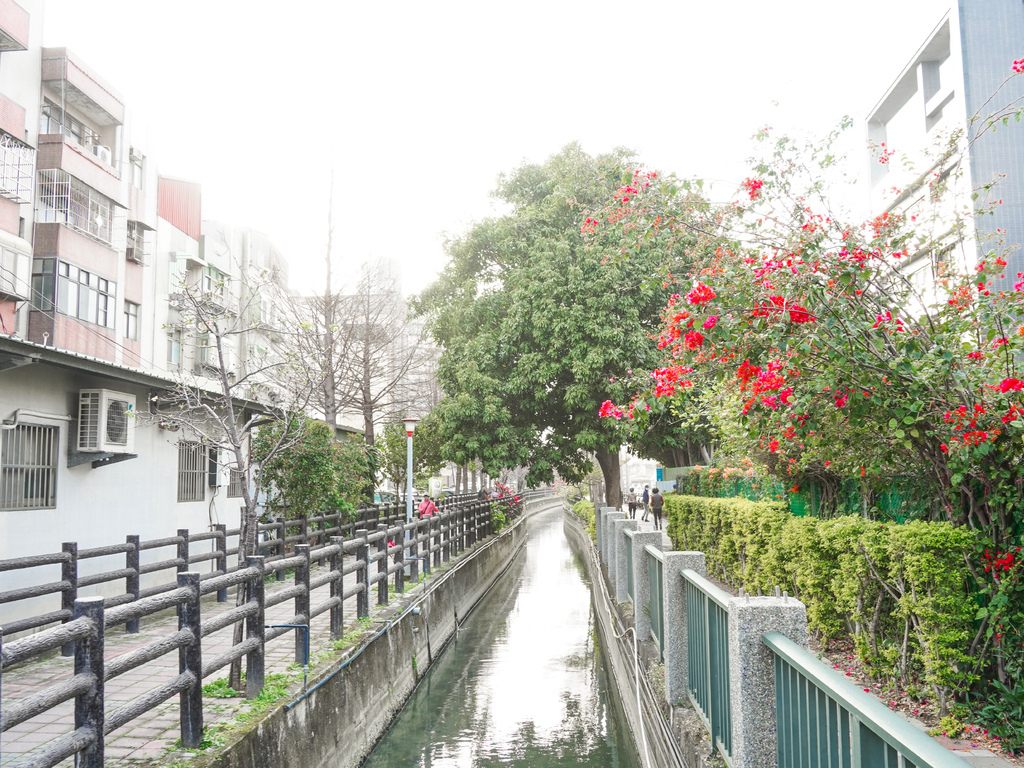 【新竹櫻花景點】 新竹隱藏版櫻花巷，新竹東南街汀甫圳櫻花步道，一秒到日本，粉紅櫻花IG打卡點！ @瑪姬幸福過日子