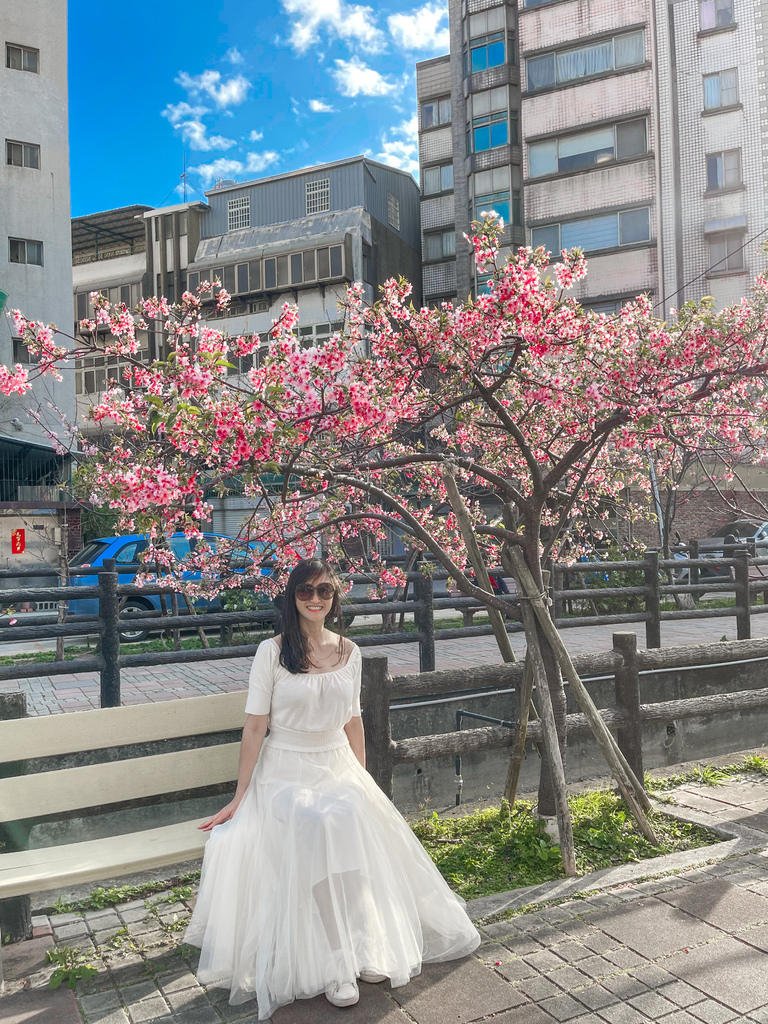 【新竹櫻花景點】 新竹隱藏版櫻花巷，新竹東南街汀甫圳櫻花步道，一秒到日本，粉紅櫻花IG打卡點！ @瑪姬幸福過日子