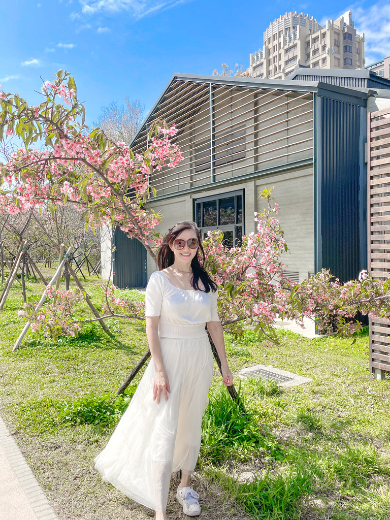 新竹賞櫻景點｜新竹公園櫻花850顆爆炸美，三大賞櫻必拍點，讓你一秒到日本！！！ @瑪姬幸福過日子