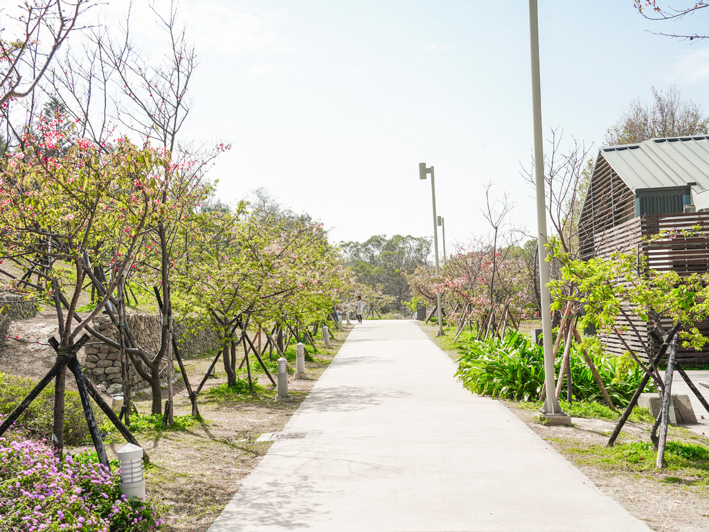 新竹賞櫻景點｜新竹公園櫻花850顆爆炸美，三大賞櫻必拍點，讓你一秒到日本！！！ @瑪姬幸福過日子