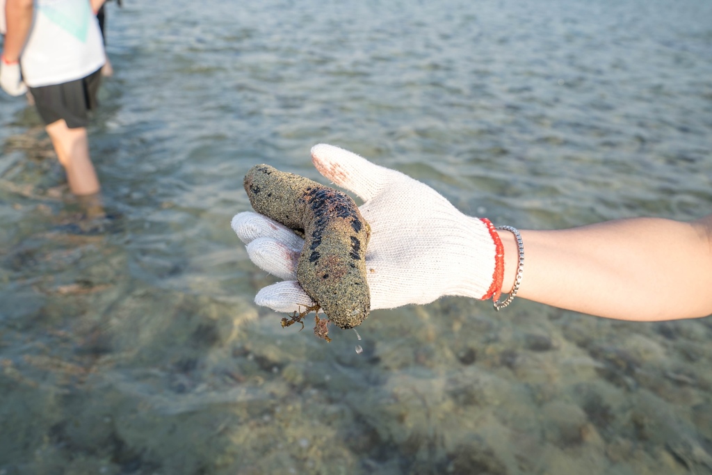 澎湖現抓石斑魚體驗，潮間帶， 全台唯一「阿婆抱礅」，石斑豐魚季一起來潮間帶秘境抓魚吧！ @瑪姬幸福過日子