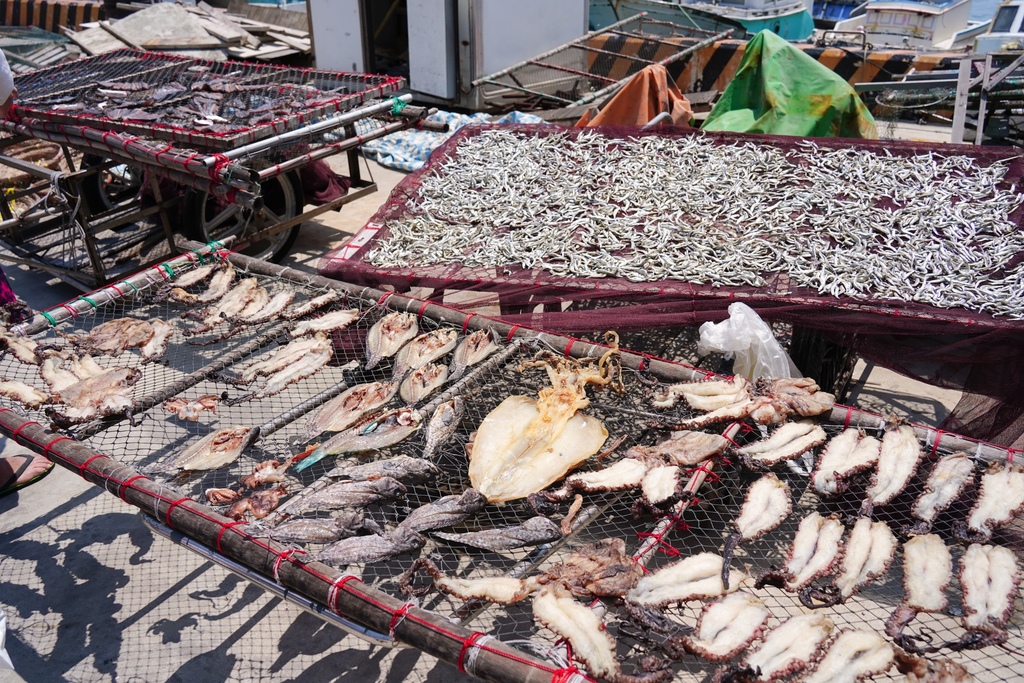 澎湖一日遊｜澎湖東海跳島之旅，海上秘境藍洞牛奶湖，珊瑚礁釣魚浮潛，餵海鷗，海上獨木舟/SUP，還有船長漁家料理！ @瑪姬幸福過日子