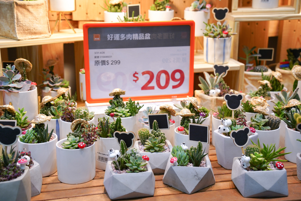 【特力屋必買】2021特力屋熱門推薦必買清單，居家用品，修繕必買，看這一篇讓你秒懂特力屋！ @瑪姬幸福過日子