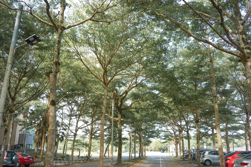 花蓮壽豐景點 ｜東華大學，台灣最美大學，歐式英倫風，湖畔美景好浪漫，超美IG打卡景點！ @瑪姬幸福過日子