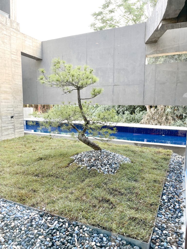 花蓮壽豐住宿推薦｜本來食藝空間民宿，清水模民宿建築方盒子，隱身在花東縱谷田野間，擁抱絕對寧靜的紓壓假期，豐盛無菜單料理早午餐！ @瑪姬幸福過日子