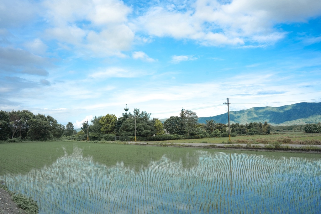 花蓮壽豐住宿推薦｜本來食藝空間民宿，清水模民宿建築方盒子，隱身在花東縱谷田野間，擁抱絕對寧靜的紓壓假期，豐盛無菜單料理早午餐！ @瑪姬幸福過日子