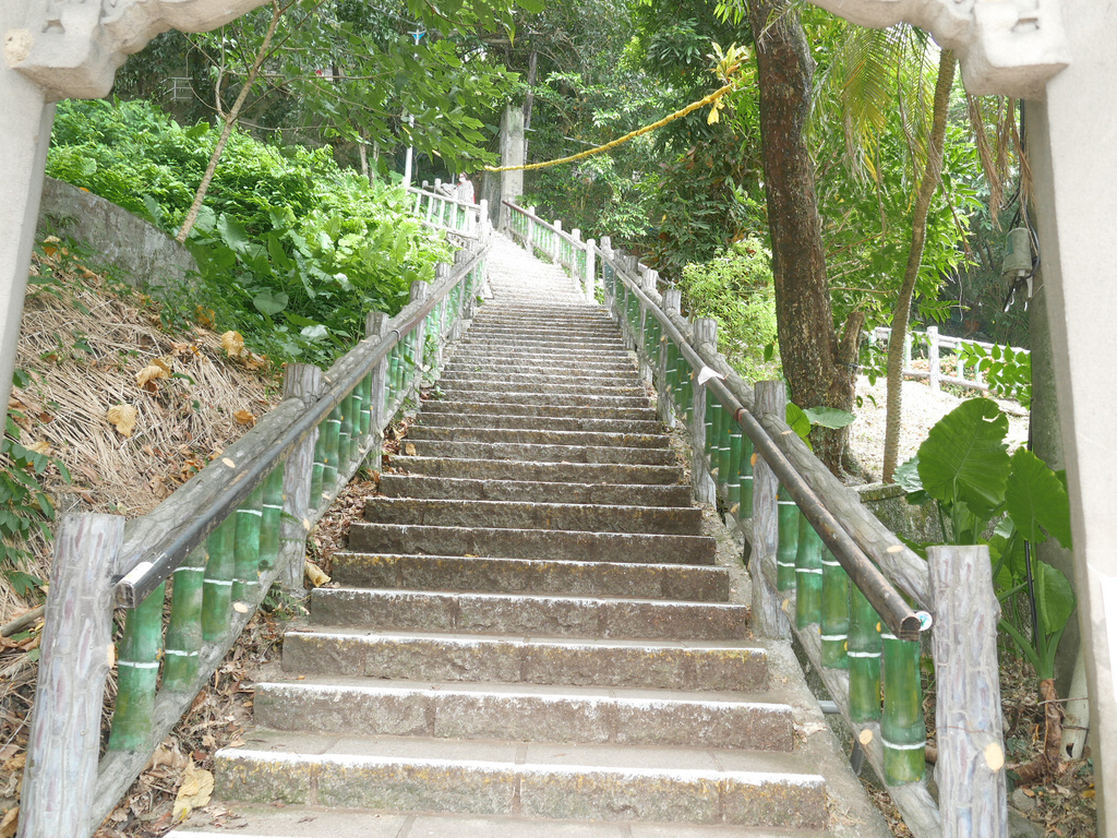 台北劍潭山親山步道，老地方觀機平台，180度鳥瞰市景看飛機，捷運劍潭站市中心旁的步道！ @瑪姬幸福過日子