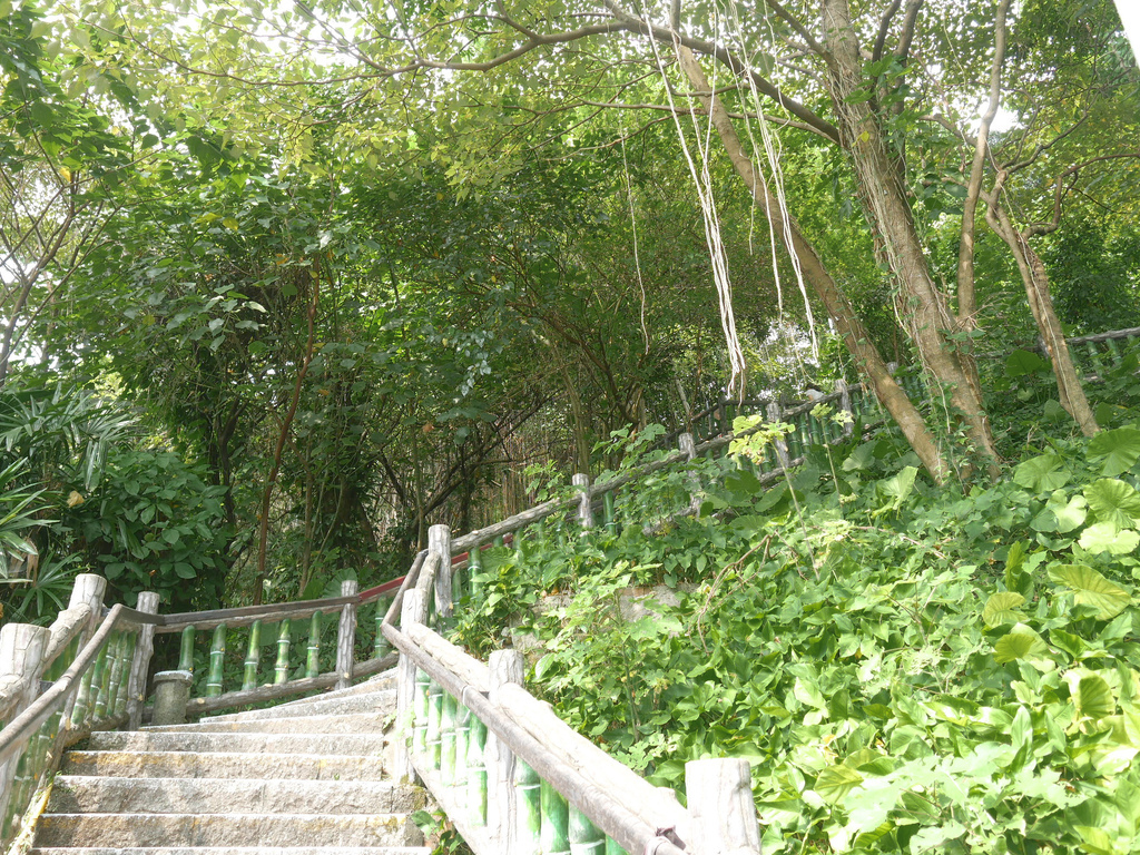 台北劍潭山親山步道，老地方觀機平台，180度鳥瞰市景看飛機，捷運劍潭站市中心旁的步道！ @瑪姬幸福過日子