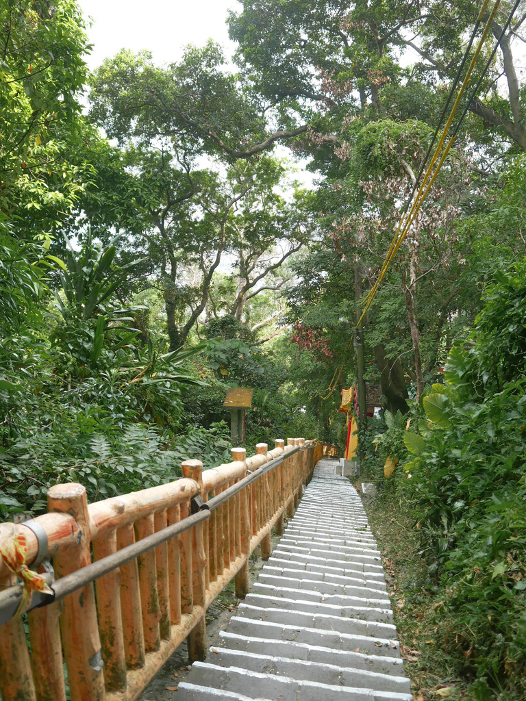 台北劍潭山親山步道，老地方觀機平台，180度鳥瞰市景看飛機，捷運劍潭站市中心旁的步道！ @瑪姬幸福過日子