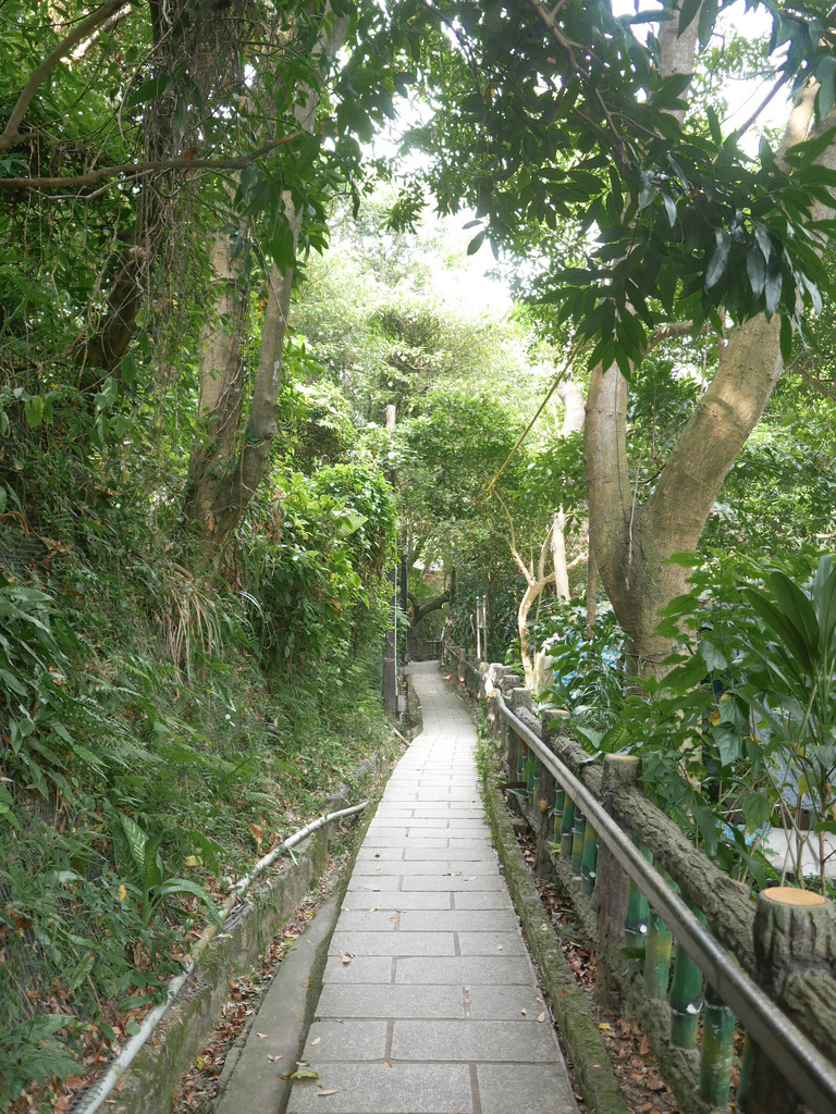 台北劍潭山親山步道，老地方觀機平台，180度鳥瞰市景看飛機，捷運劍潭站市中心旁的步道！ @瑪姬幸福過日子