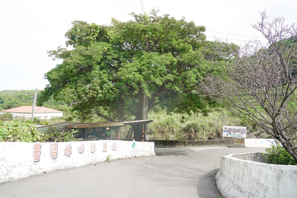 【三芝景點】三芝一日遊，北海岸一日遊超過20個IG景點，三芝秘境景點，海上平台，農場拔野菜，藝文文物全攻略！ @瑪姬幸福過日子