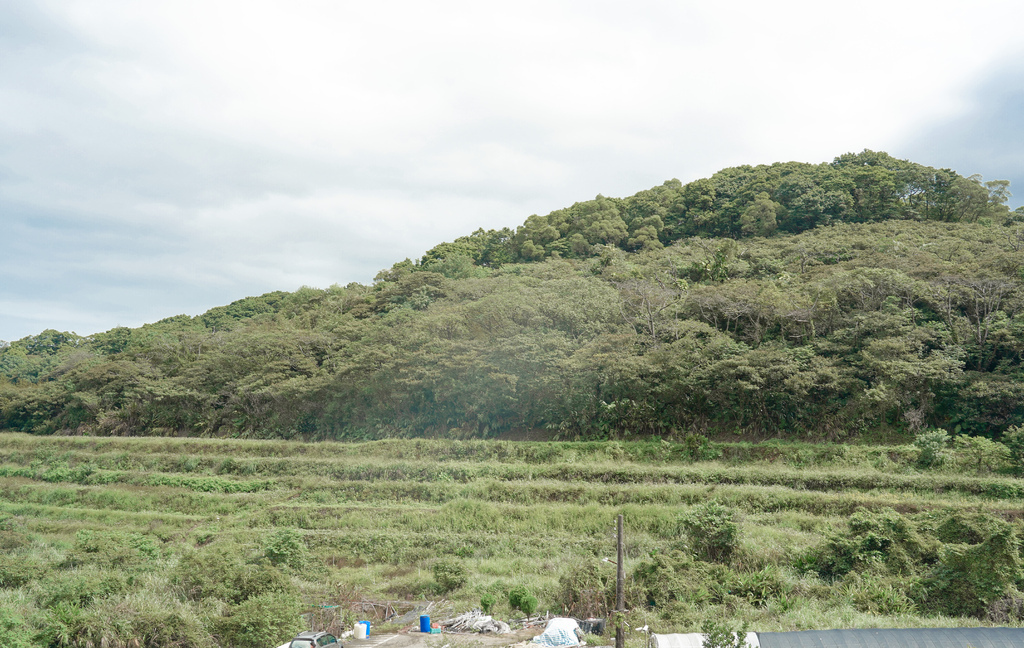 【新北三芝景點】蕃婆林休閒農場，新北三芝免費親子景點，拔蘿蔔，挖地瓜，餵小鴨，吃烤雞~體驗農村生活！ @瑪姬幸福過日子