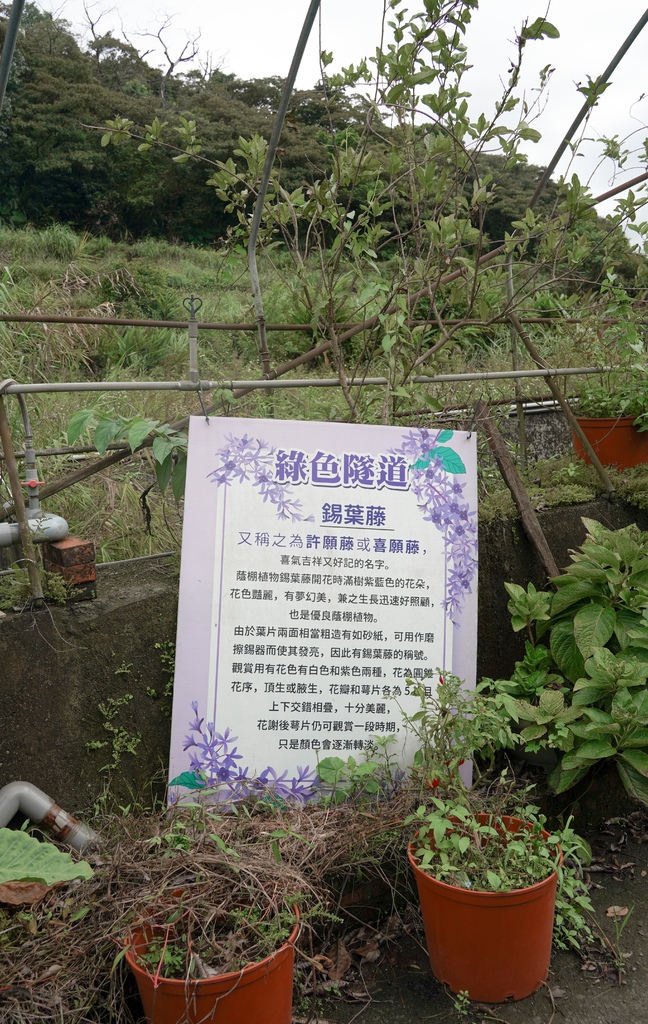 【新北三芝景點】蕃婆林休閒農場，新北三芝免費親子景點，拔蘿蔔，挖地瓜，餵小鴨，吃烤雞~體驗農村生活！ @瑪姬幸福過日子