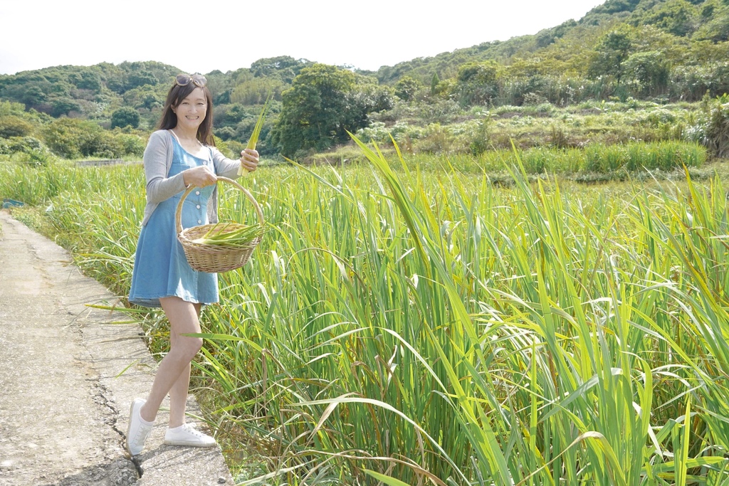 【三芝景點】三芝一日遊，北海岸一日遊超過20個IG景點，三芝秘境景點，海上平台，農場拔野菜，藝文文物全攻略！ @瑪姬幸福過日子