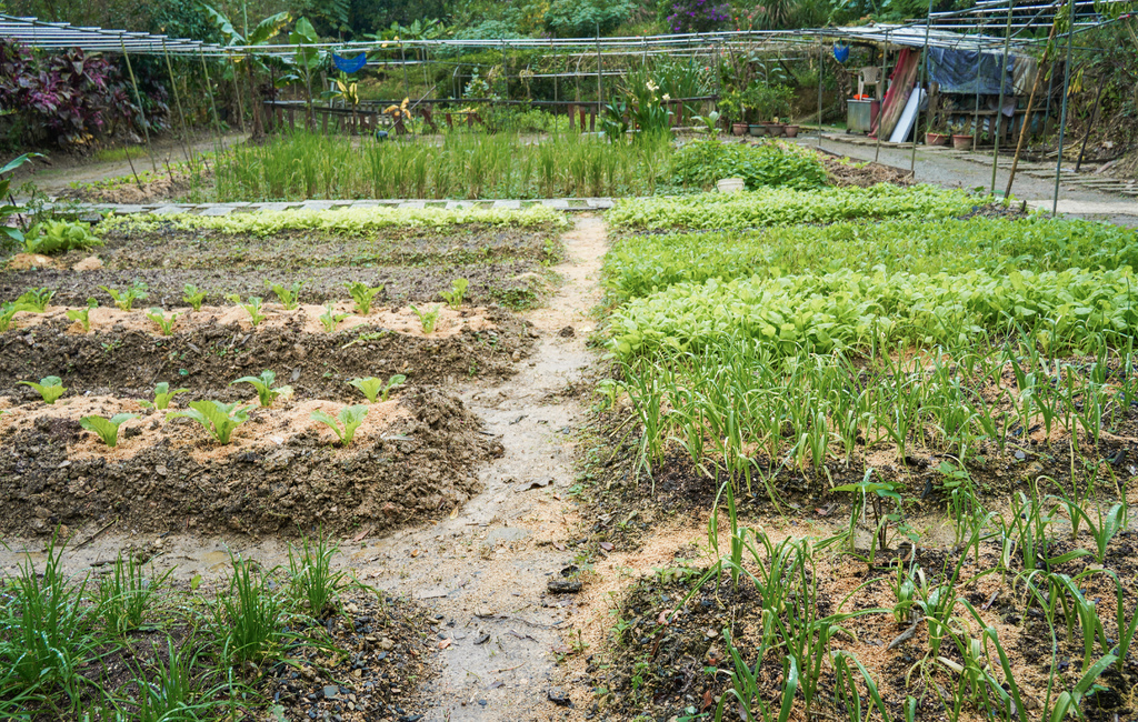 【基隆景點】盛德農場，親子景點玩水餵魚/摸蜆池/餵魚/露營，米苔目DIY/菜園插秧體驗，基隆農場一日！ @瑪姬幸福過日子