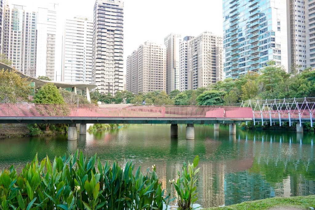 【台中景點】 秋紅谷景觀生態公園，都市中的綠洲，好美的世外桃源，IG打卡景點！ @瑪姬幸福過日子