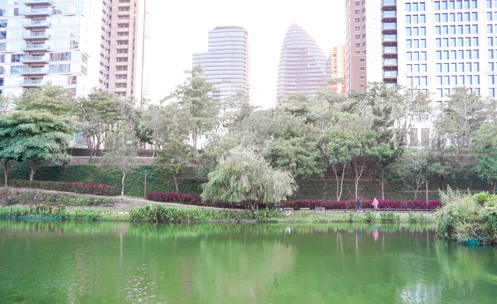 【台中景點】 秋紅谷景觀生態公園，都市中的綠洲，好美的世外桃源，IG打卡景點！ @瑪姬幸福過日子