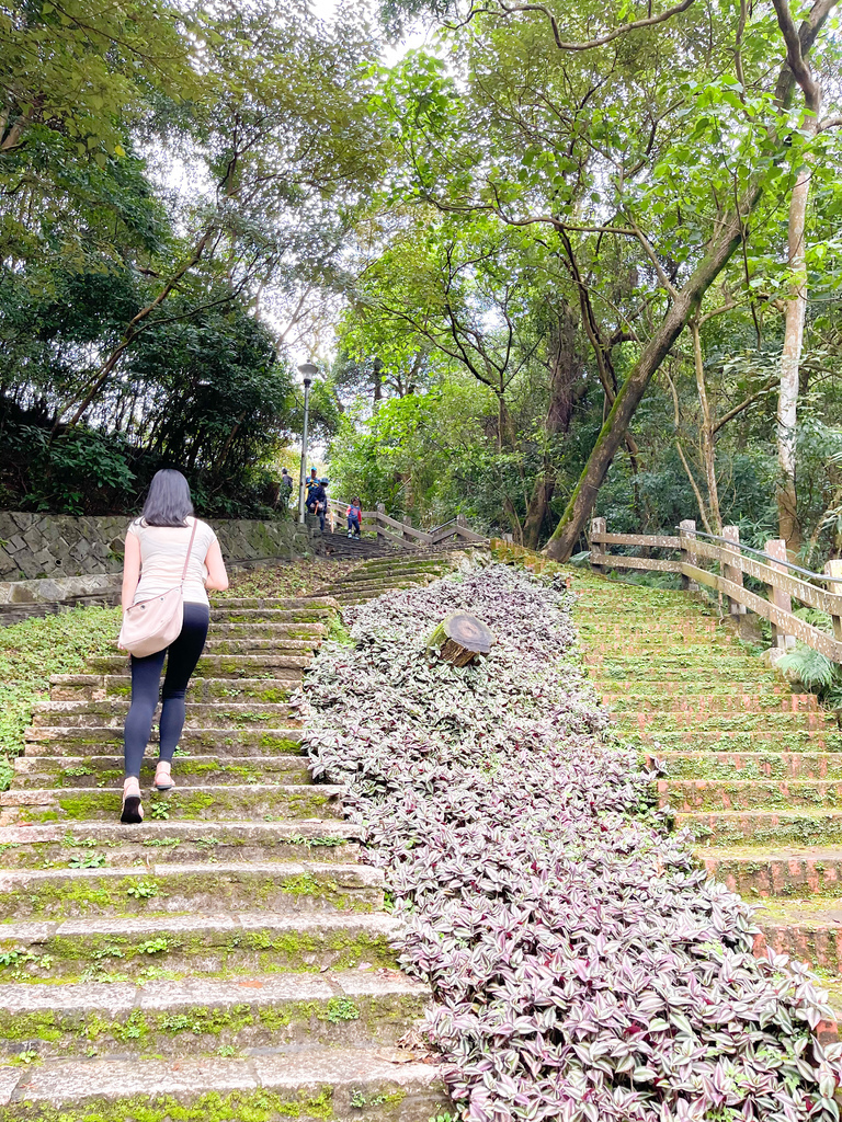 台北內湖一日遊｜內湖大溝溪親水公園步道花海已經開始了，免費景點，放假親子踏青郊遊野餐，可賞蝶，內湖縱走！ @瑪姬幸福過日子