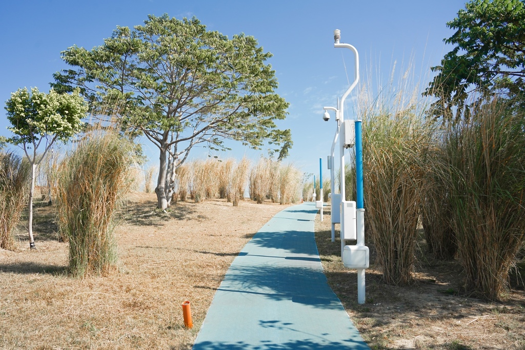 台中中央公園，免門票IG打卡必拍12大景點， 彩虹迷宮，芒草秘境，超美都市森林公園親子景點！ @瑪姬幸福過日子